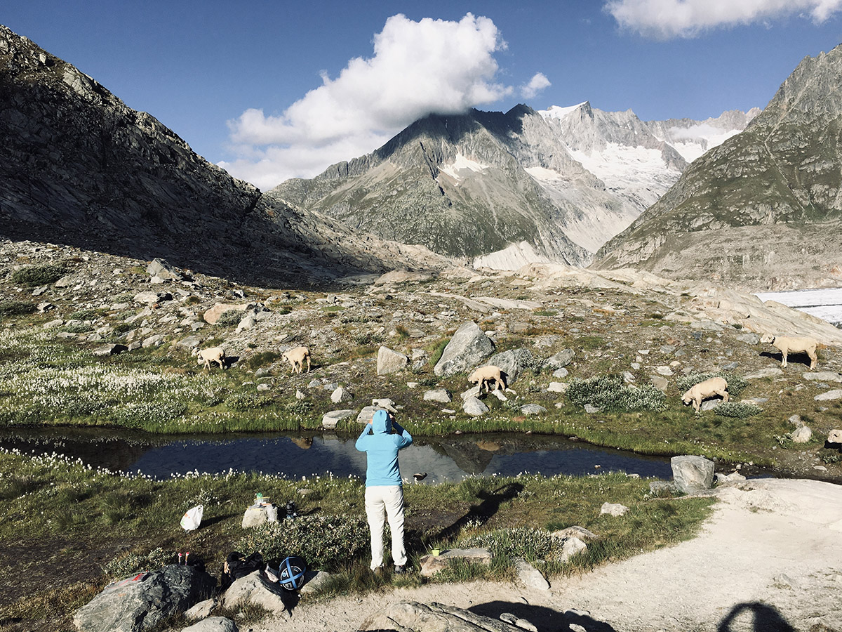 Excursion du Glacier d'Aletsch Amélie prend en photo des animaux de l'autre côté d'un ruisseau